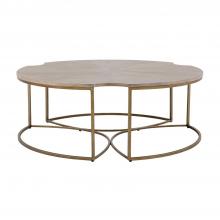 GABBY SCH-153530 - Zelda Coffee Table, Cerused Oak, Light Bronze, 48"W (SCH-153530 )