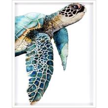 Paragon 13009 - Great Sea Turtle Framed Art, Turquoise, White Frame Color, 38"W 13009