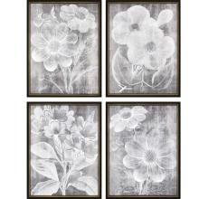 Paragon 13103 - Chalky Floral Framed Art, Set of 4, Gray, Black Frame Color, 20"W 13103