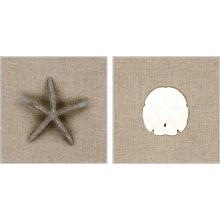 Paragon 13171 - Star/Dollar Acrylic Shadow Boxes, Set of 2, Gray, 12"W 13171