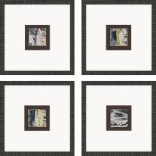 Paragon 13525 - Colorful Framed Art, Set of 4, Gray, Black Frame Color, 18"W 13525