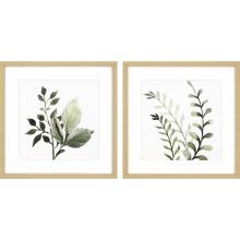 Paragon 14284 - Watercolor Sage Framed Art, Set of 2, Green, Brown Frame Color, 26"W 14284