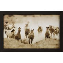 Paragon 14673 - San Cristobol Horses Framed Art, Brown, Brown Frame Color, 50"W 14673