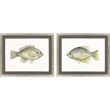 Paragon 14685 - Blue Gill/Crappie Framed Art, Set of 2, Green, Silver Frame Color, 33"W 14685