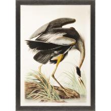 Paragon 14689 - Great Blue Heron Framed Art, Black, Brown Frame Color, 40"W 14689