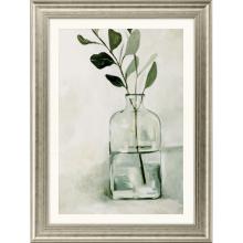 Paragon 14781 - Eucalyptus Branch I Framed Art, Green, Silver Frame Color, 35"W 14781