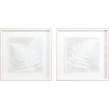 Paragon 14892 - For Amelia Framed Art, Set of 2, White, White Frame Color, 24"W 14892