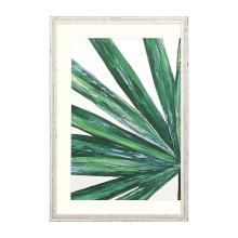 Paragon 14941 - Frond I Framed Art, Green, White Frame Color, 30"W 14941