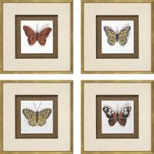 Paragon 15026 - Butterfly Study Framed Art, Set of 4, Beige, Gold Frame Color, 17"W 15026