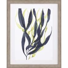 Paragon 15074 - Kelp Embrace I Framed Art, Blue, Silver Frame Color, 34"W 15074