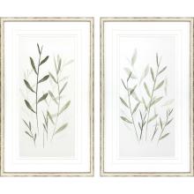 Paragon 15135 - Light Ferns Framed Art, Set of 2, Green, White Frame Color, 21"W 15135