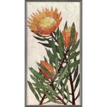 Paragon 15219 - Protea Framed Art, Orange, Silver Frame Color, 27"W 15219