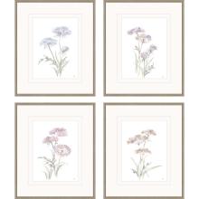 Paragon 15273 - Queen Annes Lace Framed Art, Set of 4, Green, Gold Frame Color, 21"W 15273