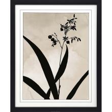 Paragon 15345 - Dianella Framed Art, Black, Black Frame Color, 33"W 15345