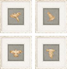 Paragon 15399 - Golden Birds I Framed Art, Set of 4, Gray, White Frame Color, 16"W 15399