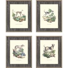 Paragon 15463 - French Dogs Framed Art, Set of 4, Gray, Gold Frame Color, 17"W 15463