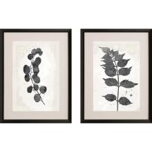 Paragon 15478 - Garden Vines I Framed Art, Set of 2, Black, Black Frame Color, 24"W 15478