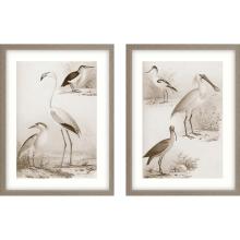 Paragon 15498 - Sepia Water Birds I Framed Art, Set of 2, Sepia, Brown Frame Color, 23"W 15498