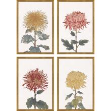 Paragon 15516 - Chrysanthemum Framed Art, Set of 4, Green, Gold Frame Color, 17"W 15516