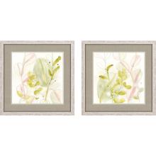 Paragon 15520 - Celadon Trace Framed Art, Set of 2, Green, White Frame Color, 26"W 15520