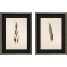 Paragon 15568 - Floating Feathers I Framed Art, Set of 2, Black, Silver Frame Color, 19"W 15568