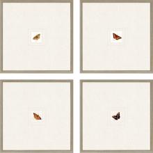 Paragon 15638 - Butterfly Framed Art, Set of 4, Black, Gold Frame Color, 21"W 15638