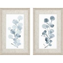 Paragon 15771 - Gray Botanical Framed Art, Set of 2, Gray, White Frame Color, 20"W 15771