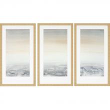 Paragon 1614 - Sable Island Framed Art, Set of 3, Gray, Gold Frame Color, 18"W 1614