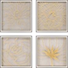 Paragon 22629 - Golden Organics I Framed Art, Set of 4, Gold Leaf, Brown, Silver Frame Color, 18"W 22629