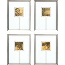 Paragon 22668 - Down Under Framed Art, Set of 4, Gold Leaf, Silver Frame Color, 17"W 22668