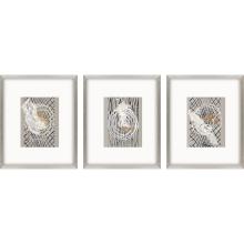 Paragon 22692 - Abstraction I Framed Art, Set of 3, Gray, Silver Frame Color, 18"W 22692