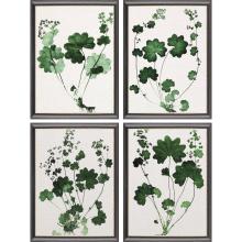 Paragon 31003 - Forest Foliage Framed Art, Set of 4, Green, Black Frame Color, 20"W 31003