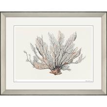 Paragon 31045 - Coral - Sway Framed Art, Black, Silver Frame Color, 40"W 31045