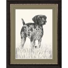 Paragon 31088 - Canine Gaze Framed Art, Black, Brown Frame Color, 36"W 31088