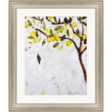 Paragon 31097 - Meyer Lemon Tree Framed Art, Green, Silver Frame Color, 41"W 31097