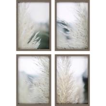 Paragon 31101 - Subtle Grasses Framed Art, Set of 4, Green, Brown Frame Color, 18"W 31101