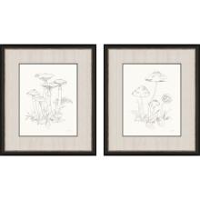 Paragon 31128 - Nature Sketchbook Framed Art, Set of 2, Beige, Black Frame Color, 26"W 31128