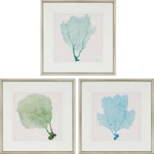 Paragon 3651 - Sea Fan I Framed Art, Set of 3, Blue, Silver Frame Color, 25"W 3651