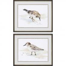 Paragon 3787 - Sandpiper Framed Art, Set of 2, Brown, Black Frame Color, 27"W 3787