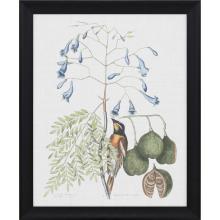 Paragon 4397 - Studies in Nature II Framed Art, Green, Brown Frame Color, 28"W 4397