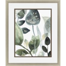 Paragon 4404 - Water Leaves I Framed Art, Green, Silver Frame Color, 28"W 4404