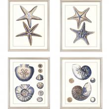 Paragon 4755 - Sea Life Framed Art, Set of 4, Blue, Silver Frame Color, 18"W 4755