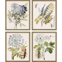 Paragon 6218 - Lacy Leaves Framed Art, Set of 4, Gray, Gold Frame Color, 17"W 6218