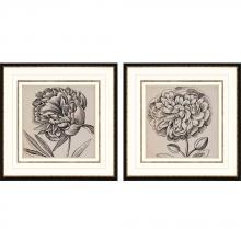 Paragon 7958 - Graphic Floral I Framed Art, Set of 2, Gray, Black Frame Color, 26"W 7958