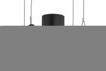 Meyda Black 158391 - 18" Wide Atlantis Pendant