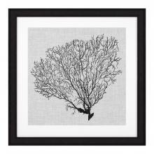 Eichholtz 112752 - Shadow Sea Fans Wall Art, Set of 4, Black Frame, 24.21"W (112752 )