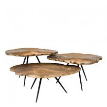 Eichholtz 111461 - Coffee Table Quercus set of 3