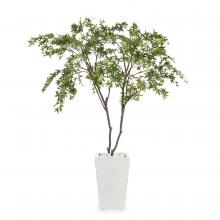 John-Richard JRB-4319 - White Maples Botanical, Green, White Pot, 65&34;W JRB-4319