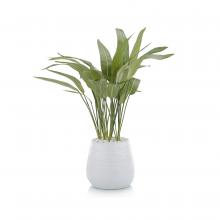 John-Richard JRB-4626W - Water Pickeral Botanical, Green, White Urn, 35&34;W JRB-4626W