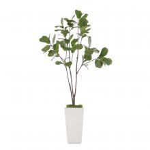 John-Richard JRB-4656 - Grey Fig Botanical, Green, White Planter, 44&34;W JRB-4656